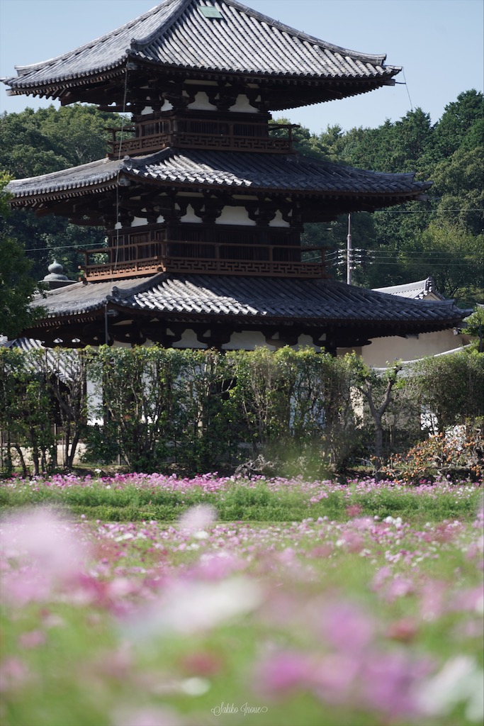 hokkiji