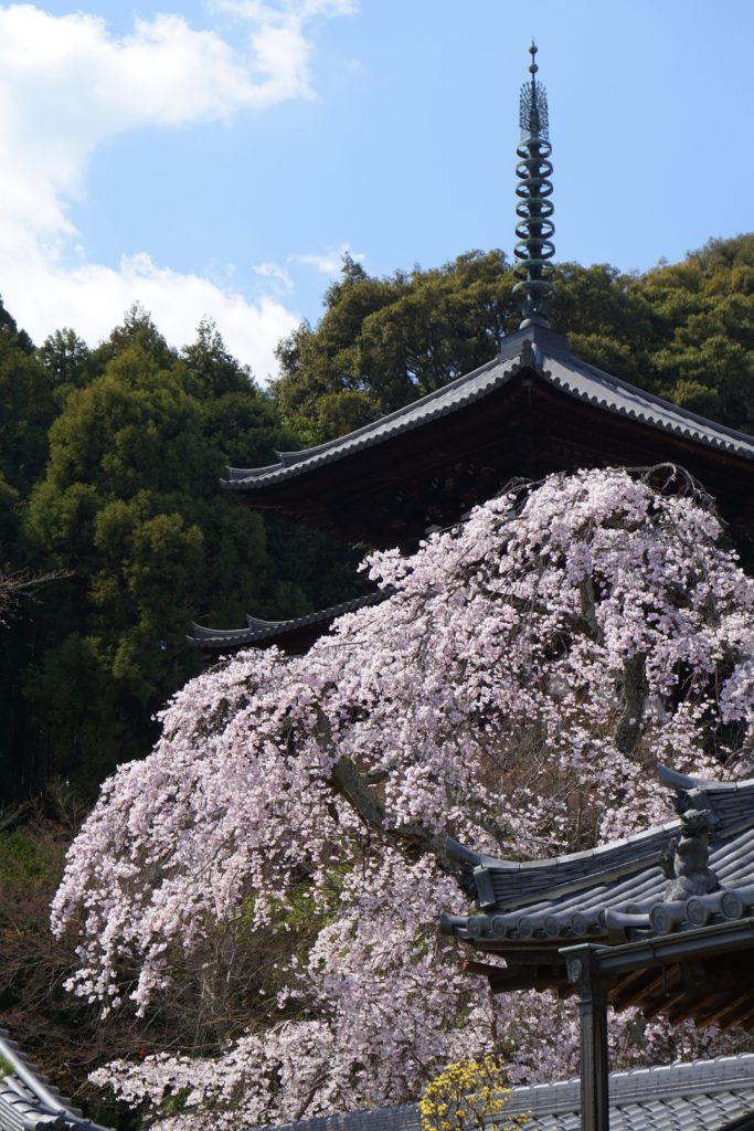 當麻寺