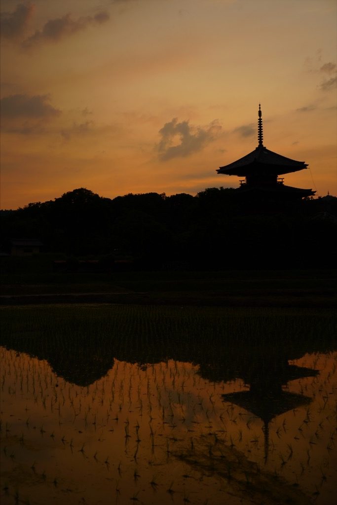hokkiji