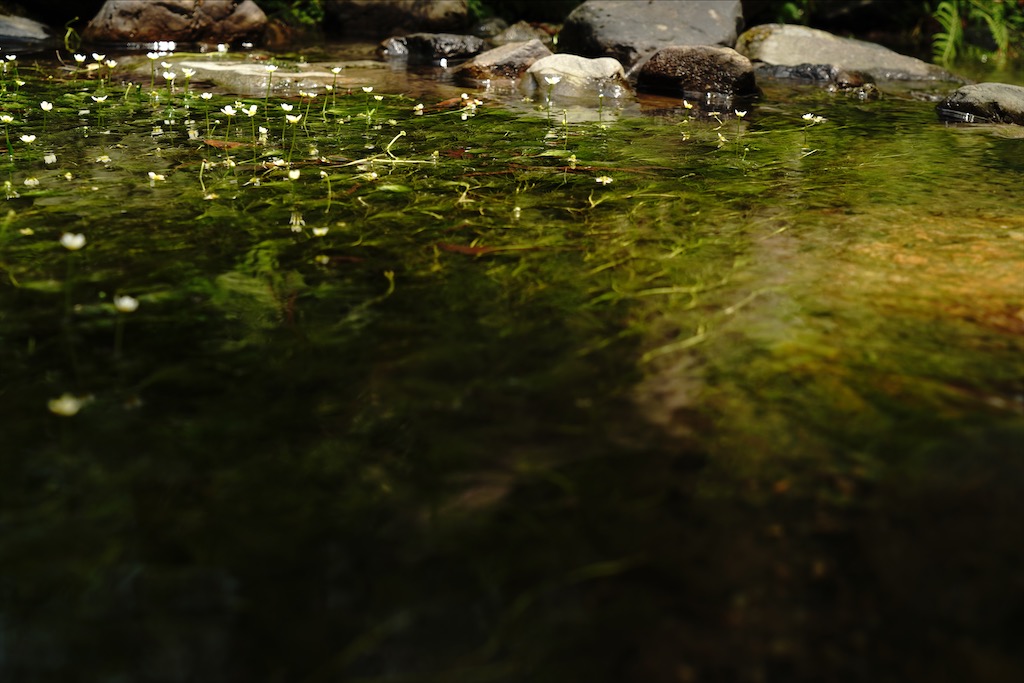 baikamo