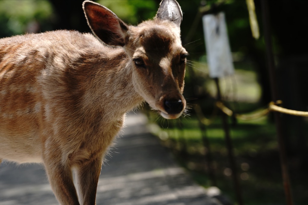 narapark