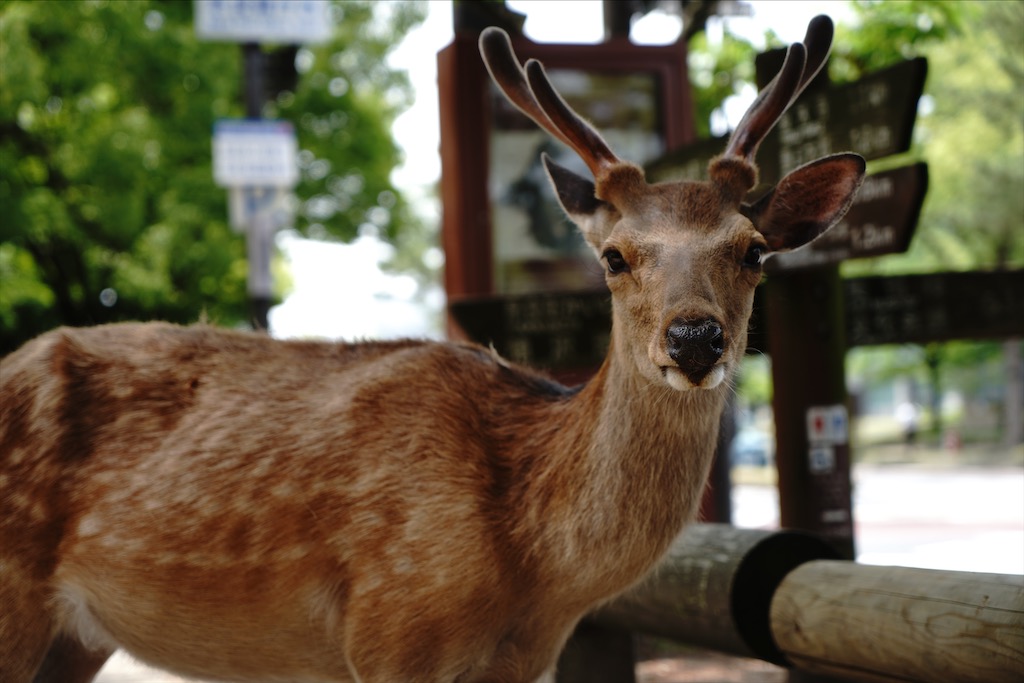 narapark