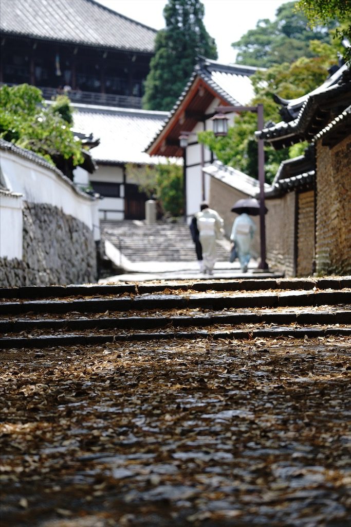 todaiji