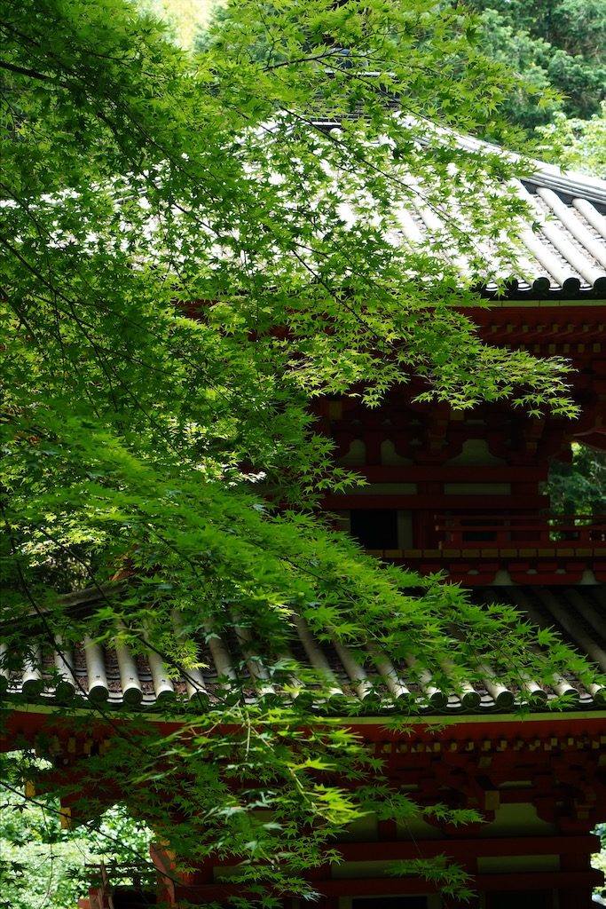 gansenji