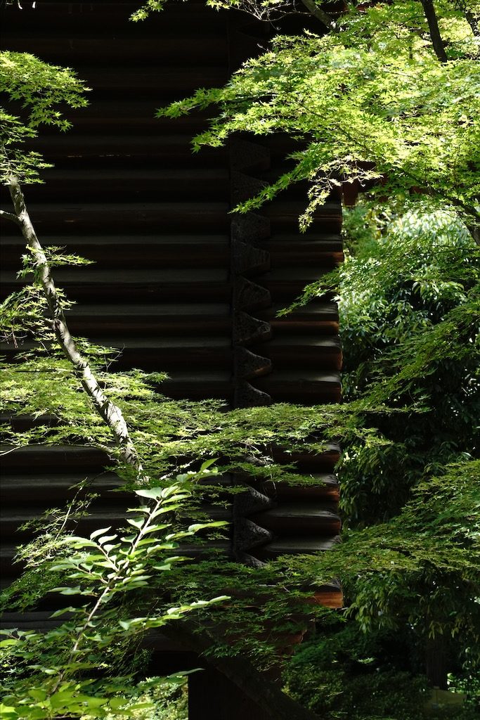 toshodaiji
