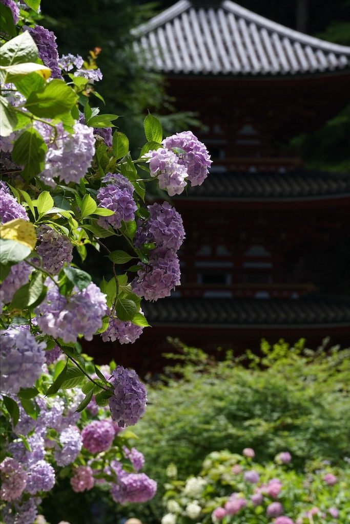 gansenji