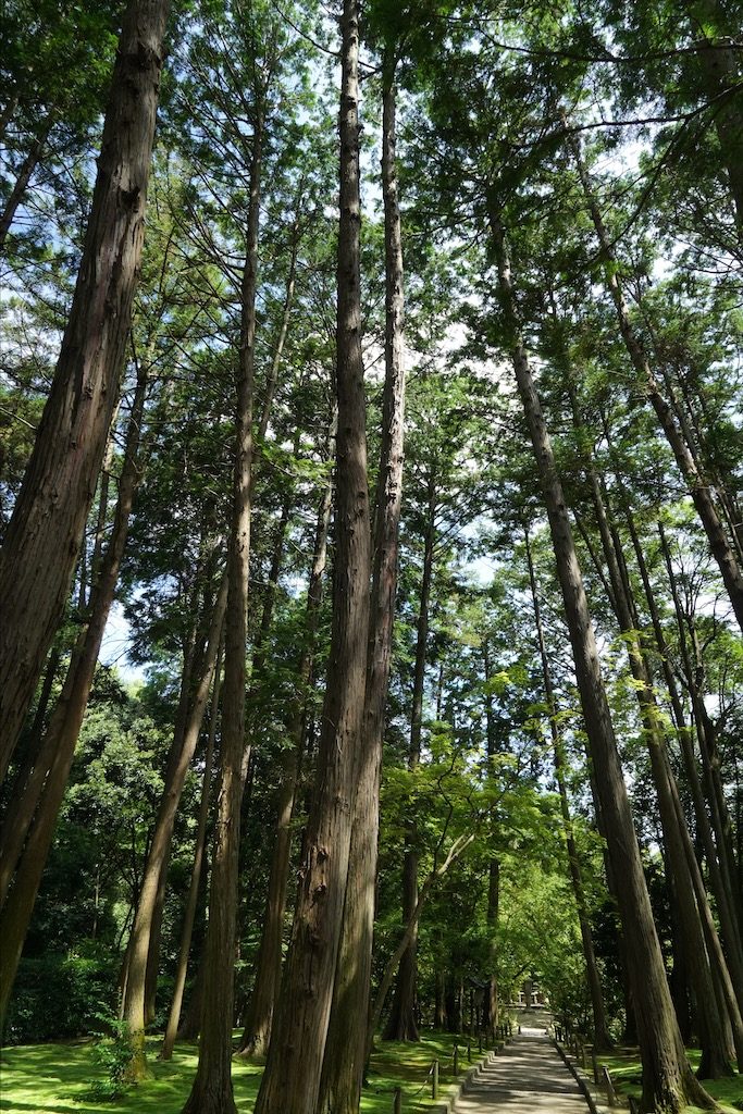 toshodaiji