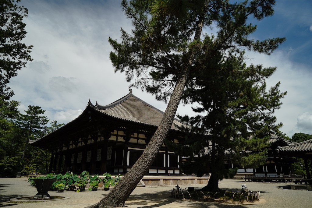 toshodaiji