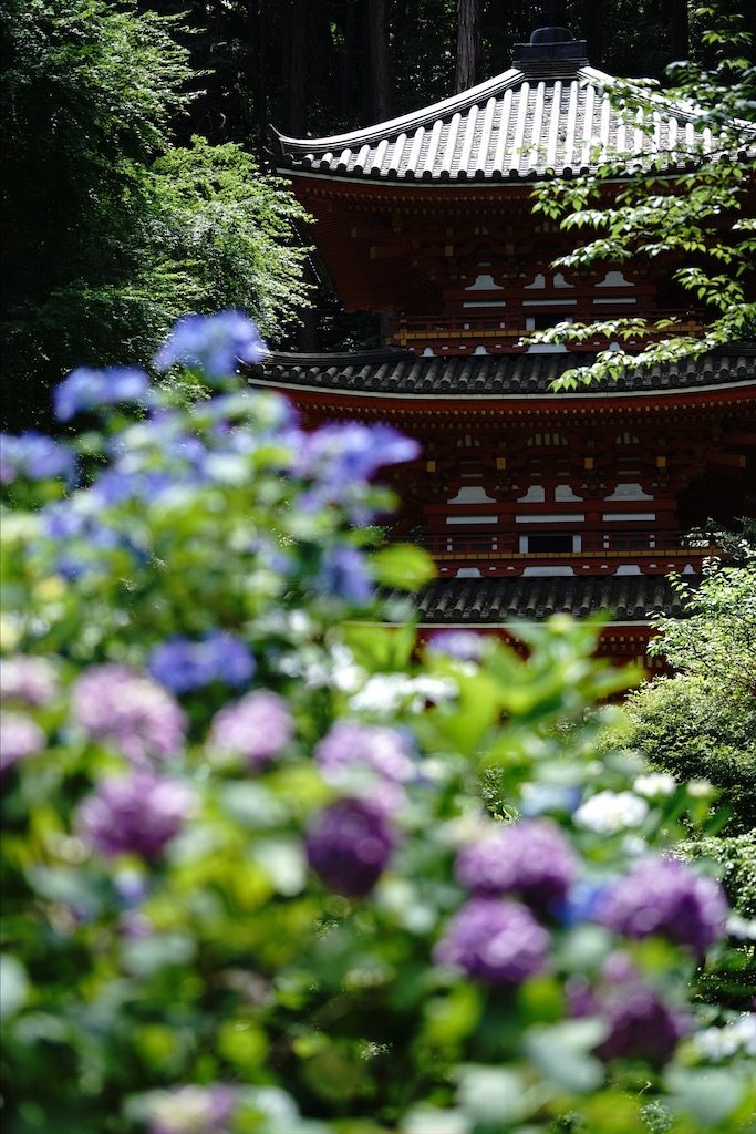 gansenji