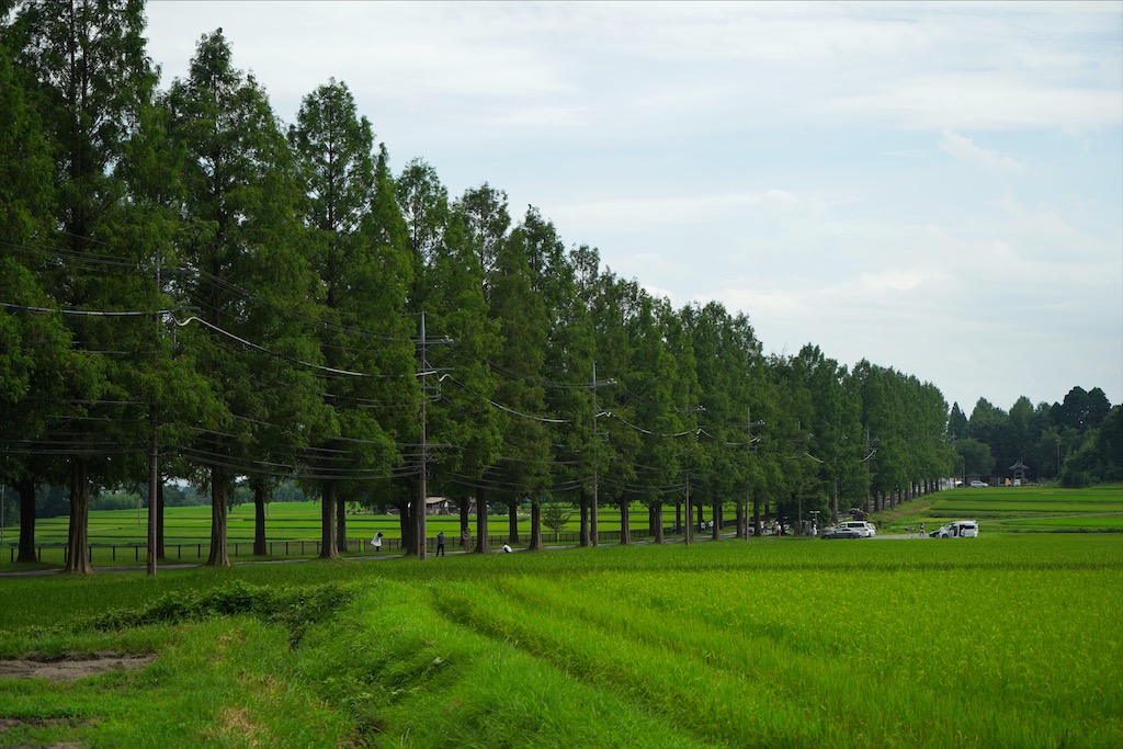 makinometasekoiya