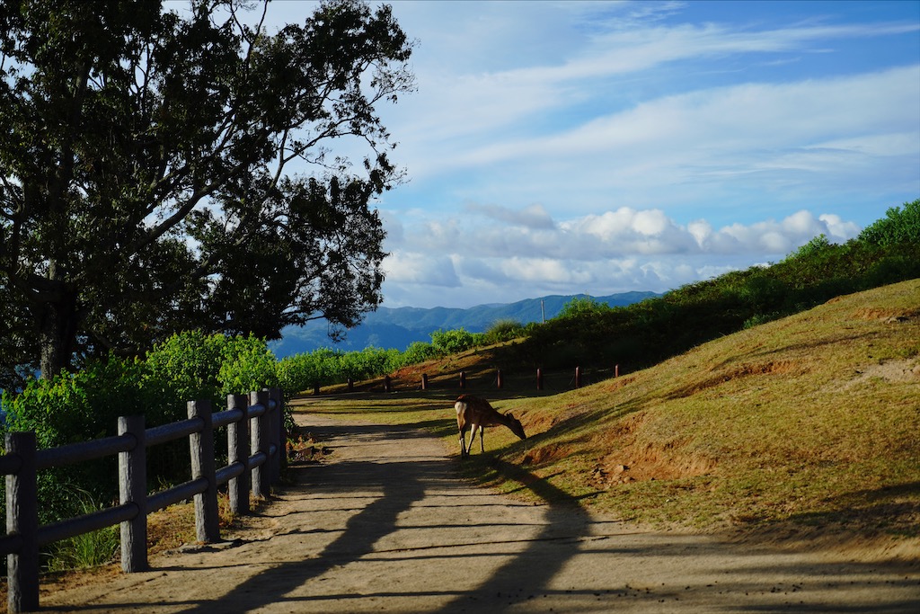 mtwakakusa