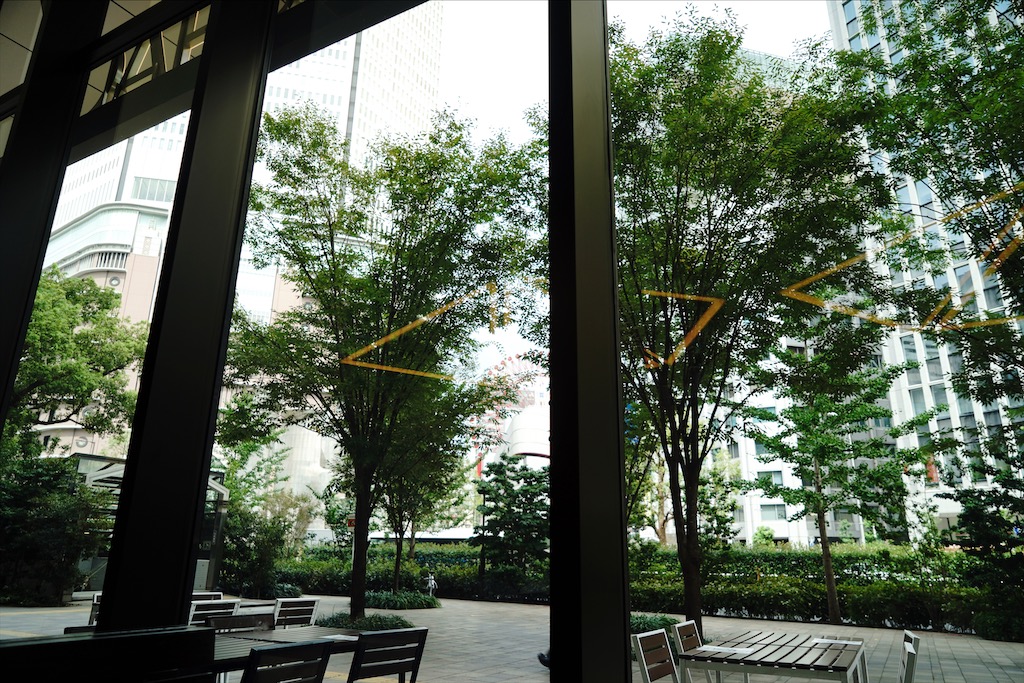 shake-shack