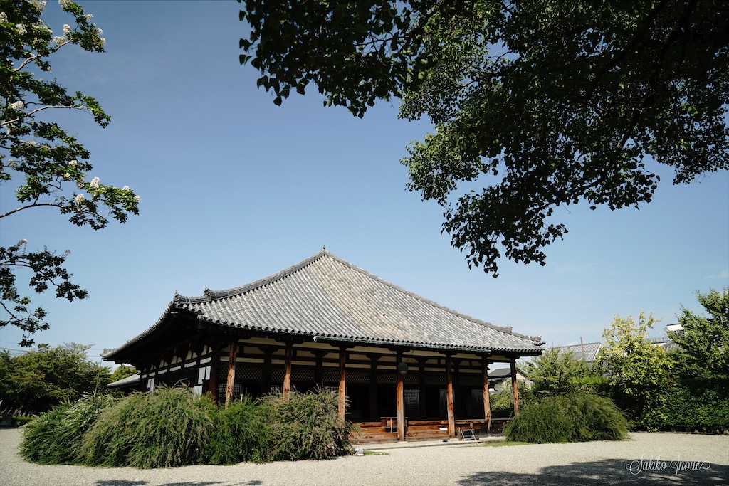 gangoji