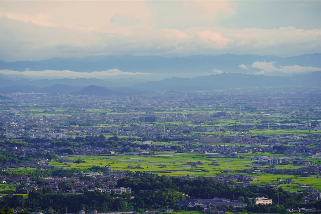 mtwakakusa