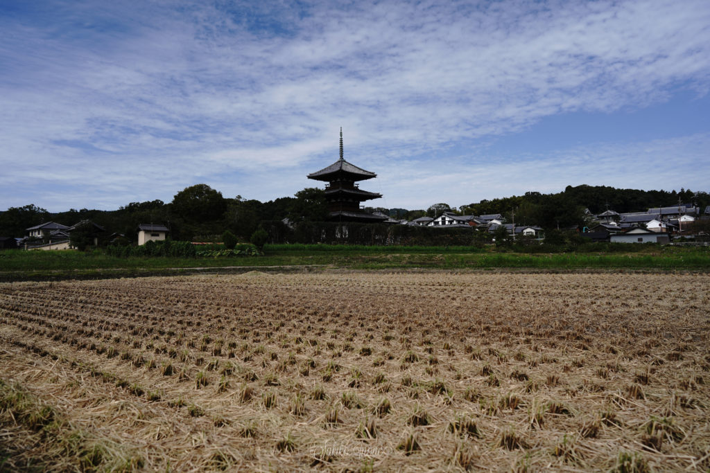hokkiji