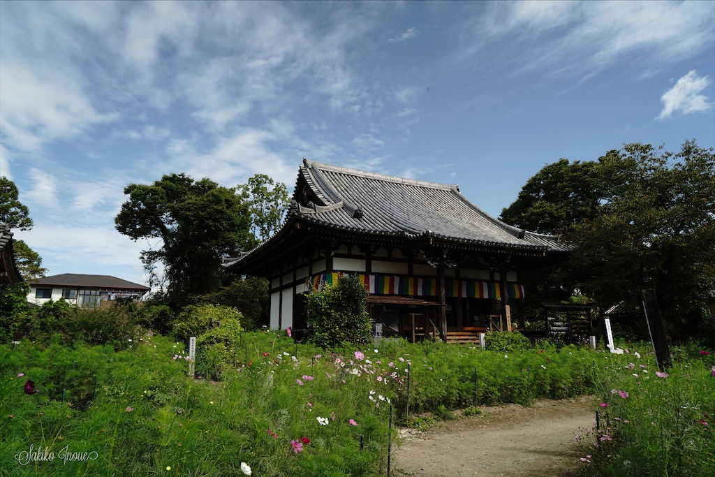 hannyaji