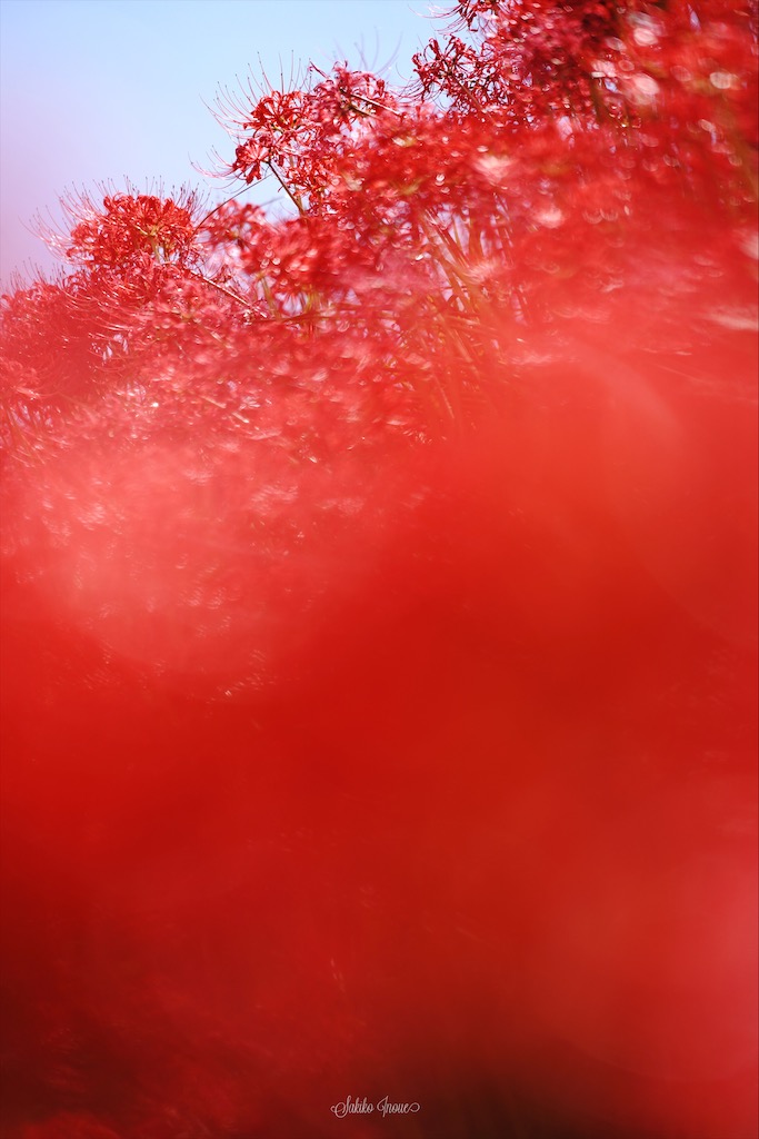 一言主神社