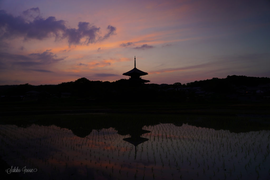 hokkiji