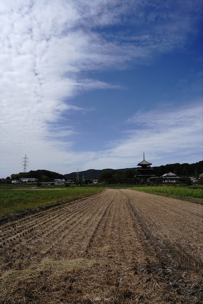 hokkiji