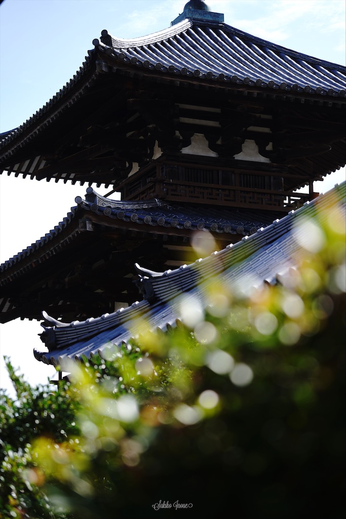 hokkiji
