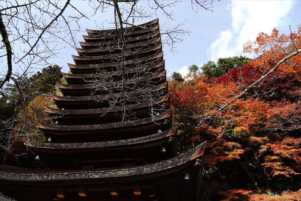 tanzanjinjya