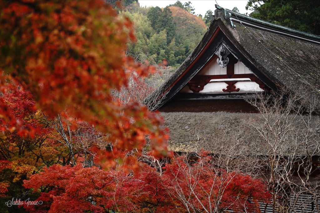 tanzanjinjya