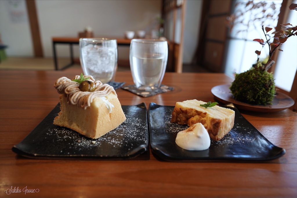 盆栽カフェコトノハ