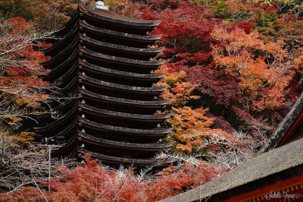 tanzanjinjya
