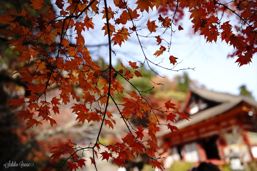 tanzanjinjya