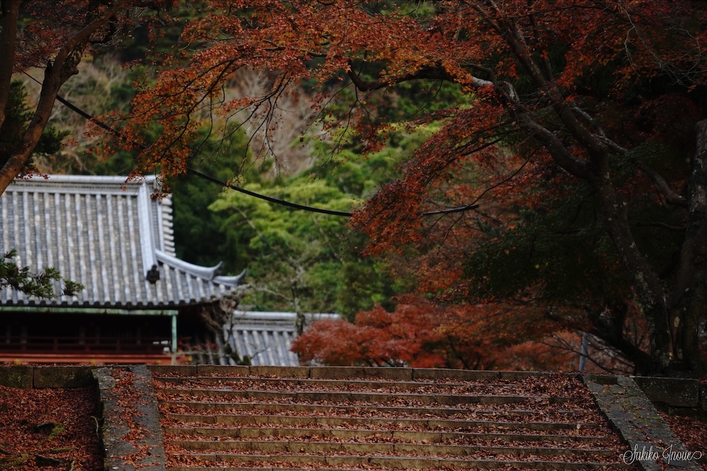 narapark