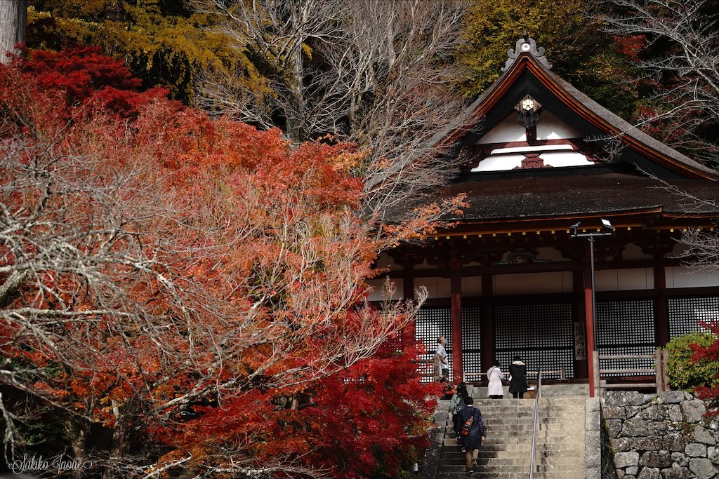 tanzanjinjya