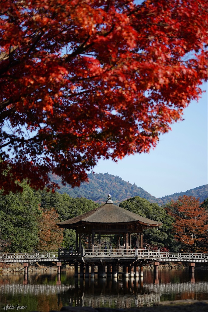 narapark