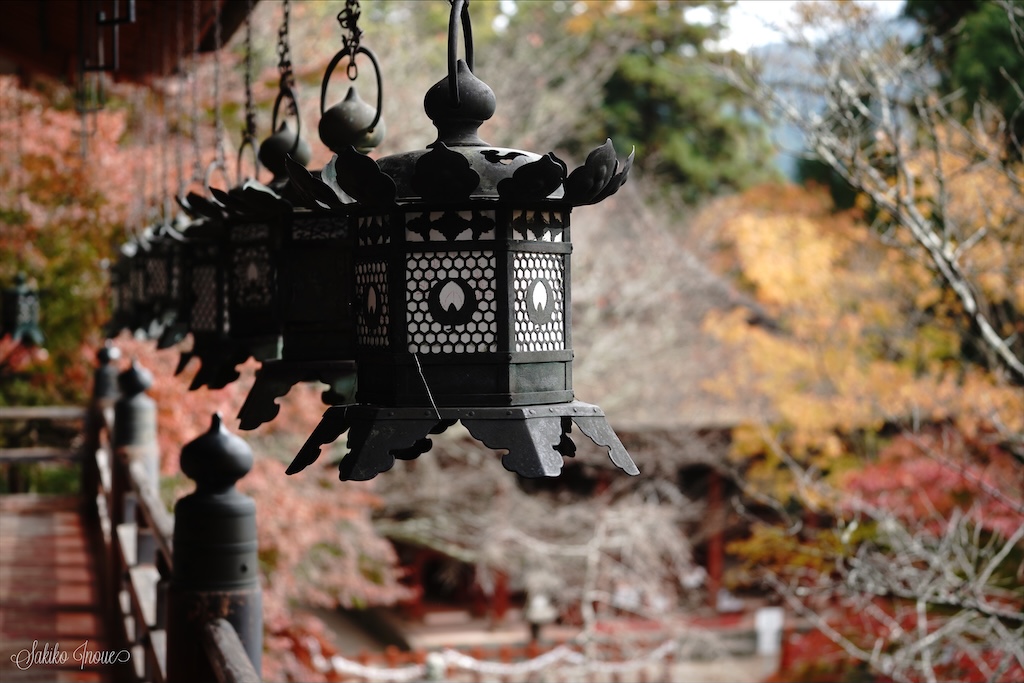 tanzanjinjya