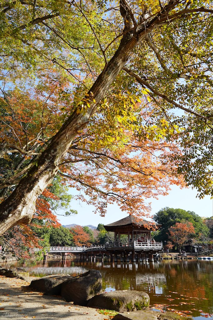 narapark