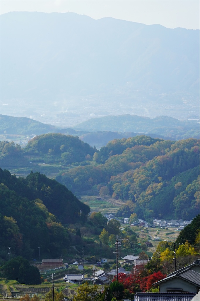 tanzanjinjya
