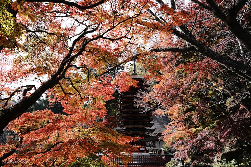 tanzanjinjya