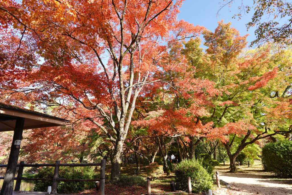 京都府立植物園
