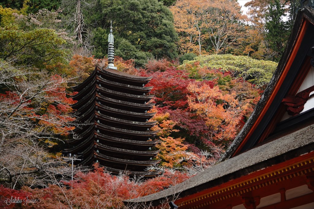 tanzanjinjya