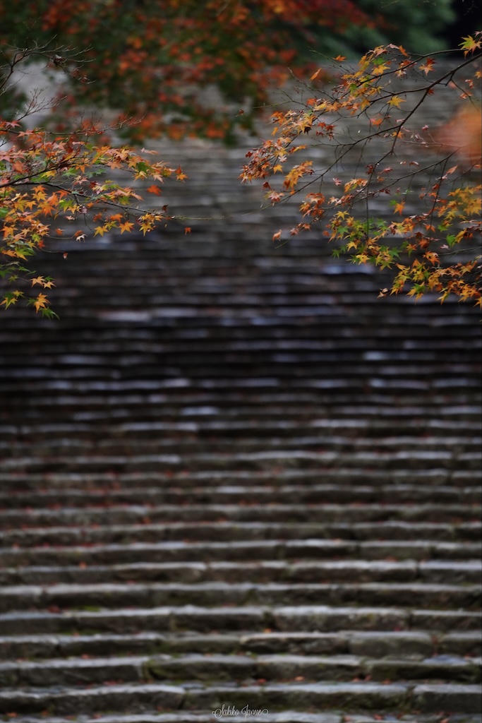 narapark