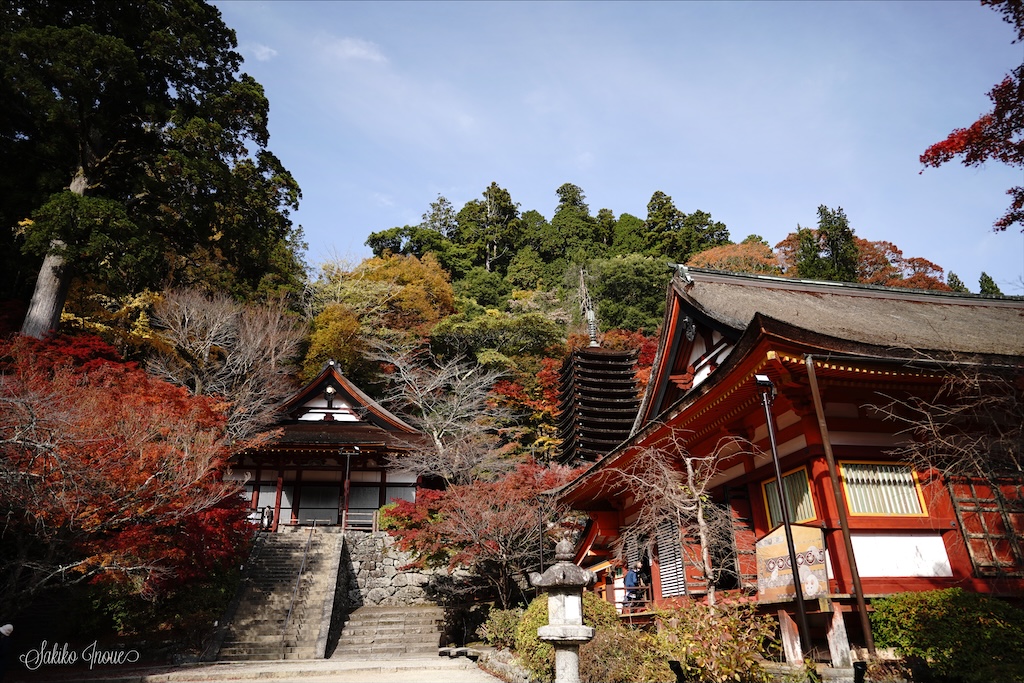 tanzanjinjya