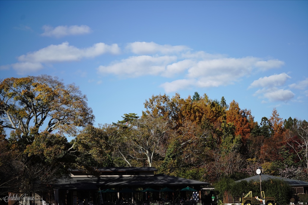京都府立植物園