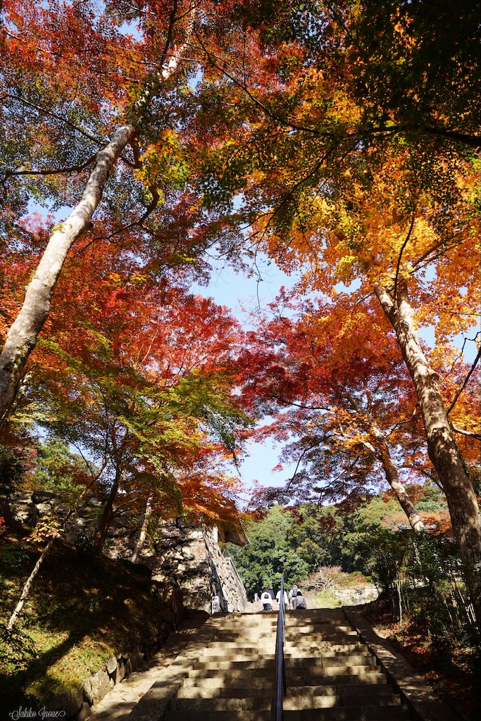 shoryakuji