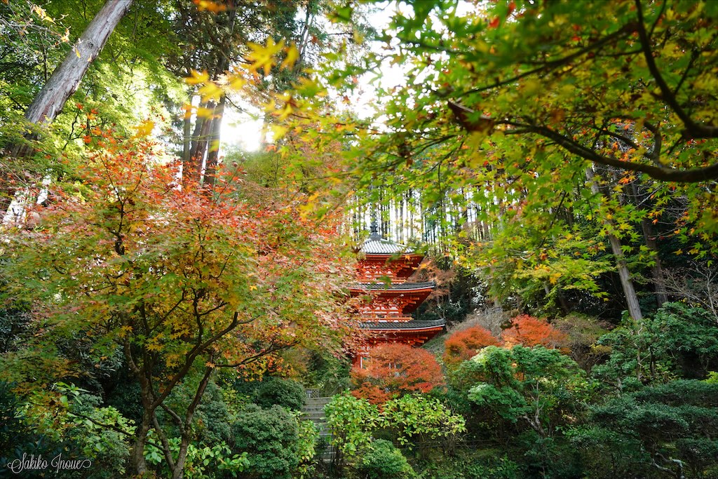 gansenji