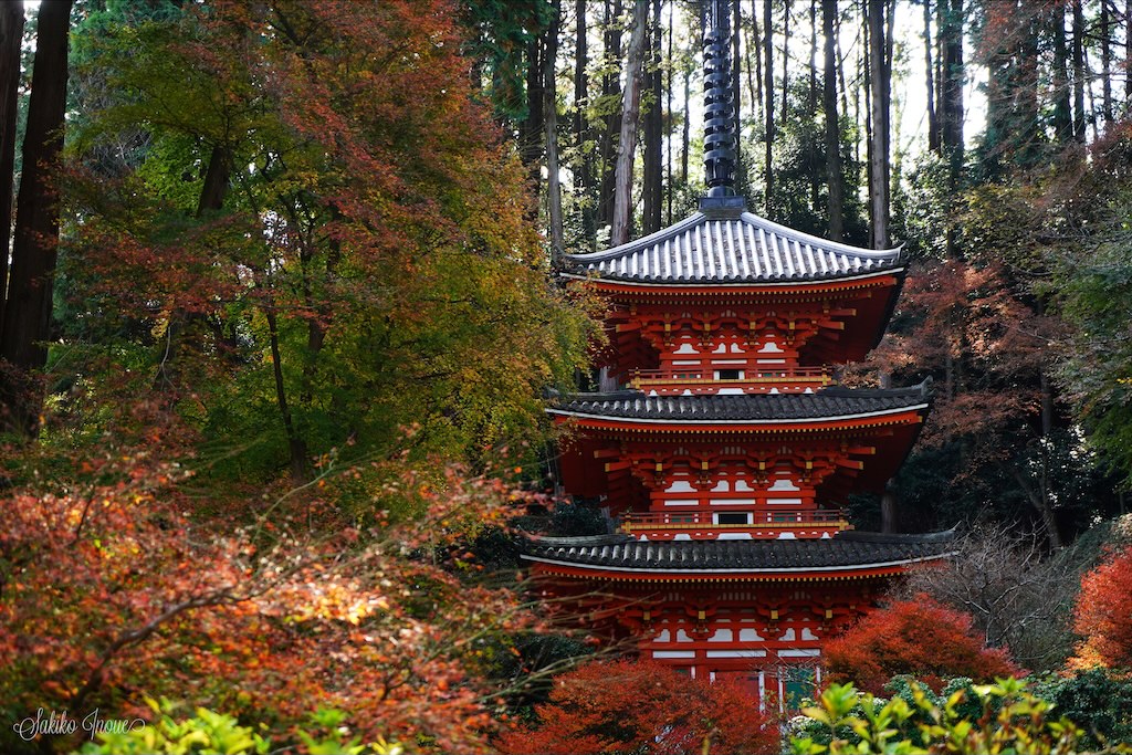 gansenji