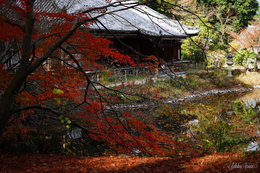 jyoururiji