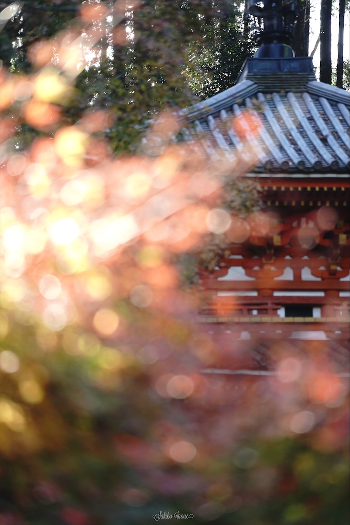 gansenji