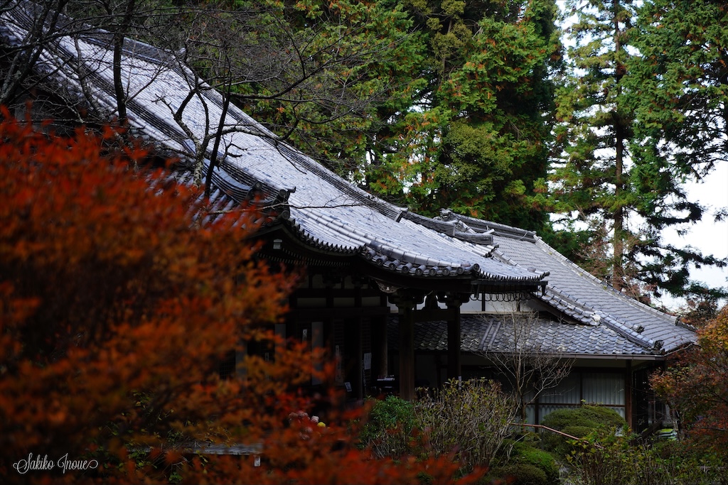 gansenji