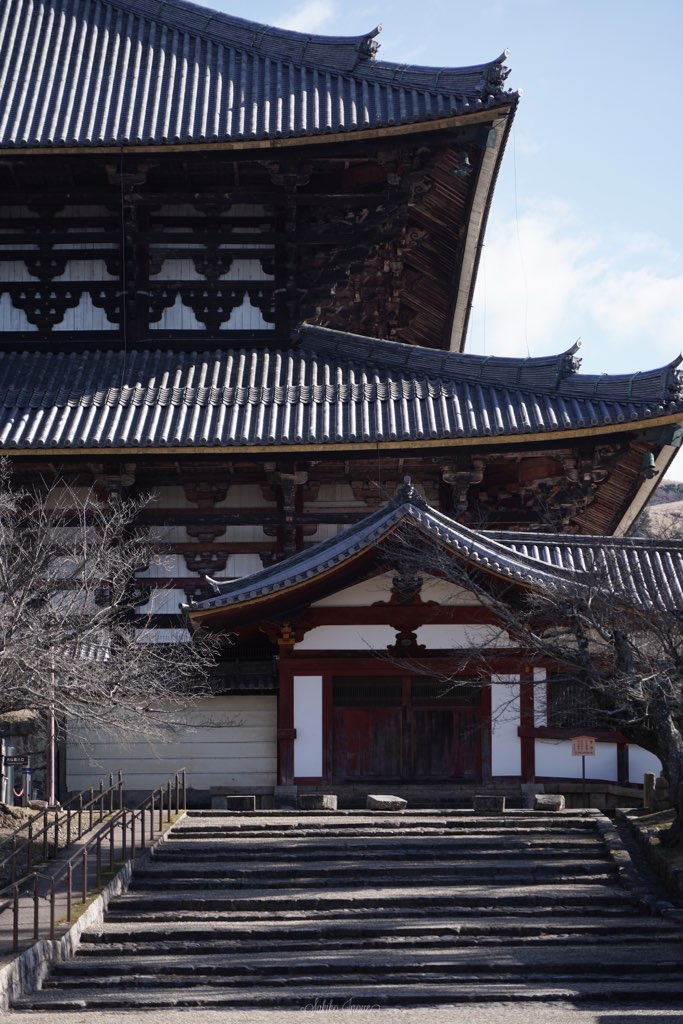 todaiji