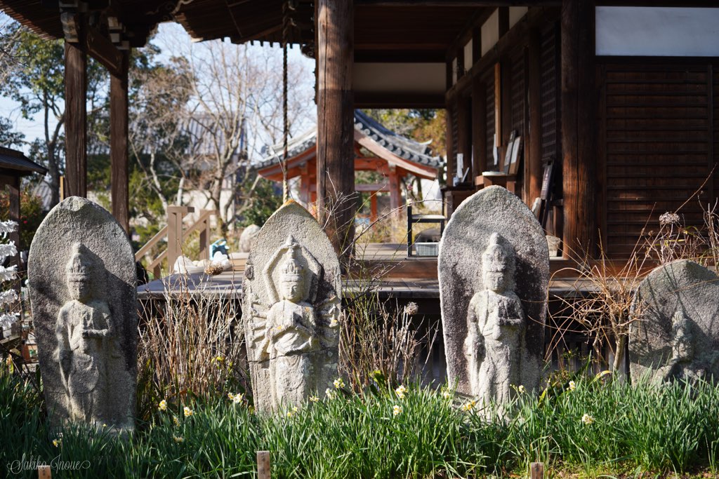 hannyaji