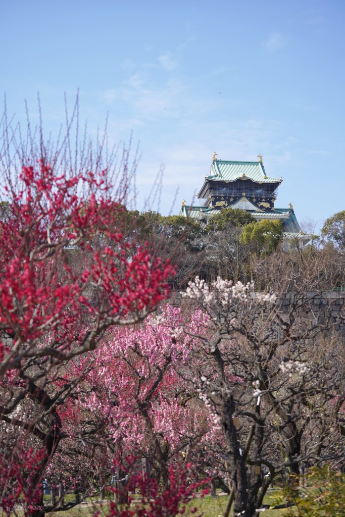 osakajyo/park